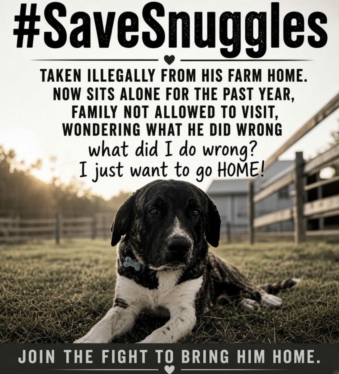 LisaBrabson's tweet photo. Please do anything u can think of to save Sergeant Snuggles!
For 11 months he has been taken from his family!
Plz send emails to support this baby!
HIS FAMILY DESPERATELY WANTS HIM BACK!
#SaveSergeantSnuggles https://t.co/J6FgokAAeu
