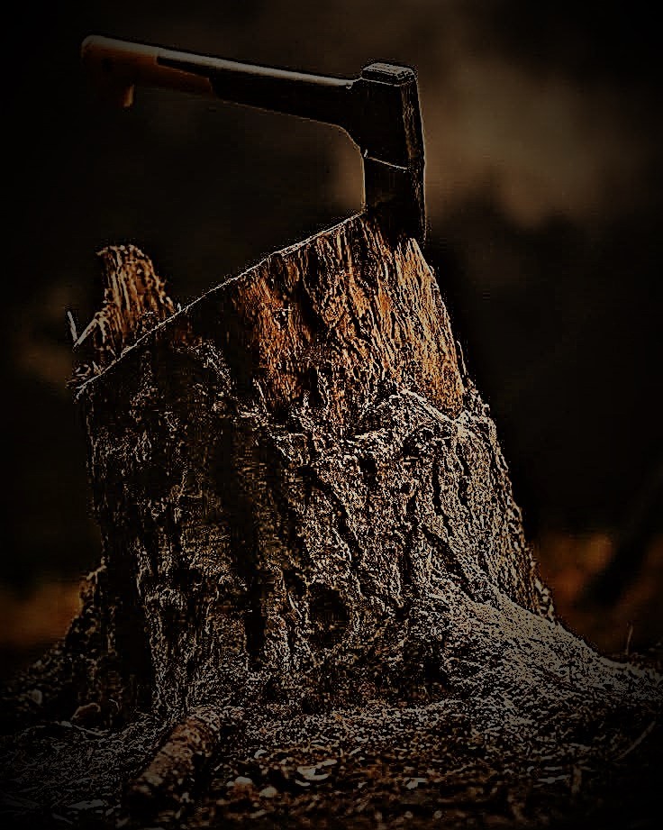 bakr_hathal's tweet photo. مشاعر شاعر
#بكر_هذال

تكفون عزّوني ولو ميتي عاش
التعزيه للحزن طبٍ مباري
ناصر بن شارع بن شري

هل يمكن للحديث عن مشاعر الحزن أن تخفف من وطأة الحزن؟.. نلاحظ أن العديد من الذين يعانون من قسوة الحياة ومرارتها، ونكسات الزمان، تغمر قلوبهم مشاعر حزن ناتجة عن أحاسيس خفية في أعماقهم..
وربما يجدون في التعبير عن هذه المشاعر طريقاً لتخفيف ما ألمّ بهم من معاناة وأحمال ثقيلة تثقل كاهلهم.. في هذا السياق أستشهد بقول الشاعر الكبير ناصر بن شارع بن شري:

إن سلت عن حالي فانا أقول لك ماش
ناحل وتومي به هبوب الذواري
من شوكةٍ ما ناشها كل منقاش
بأقصى عروق القلب ما حدٍ بدراي
لاهيب منقشه .. ولاهيب تنّاش
من دونها دم الشرايين جاري
منها حياتي جات لوعات وهواش
وضاعت هقاويي وأنا لي طواري
تكفون عزّوني ولو ميتي عاش
التعزيه للحزن طبٍ مباري

@bakr_hathal
#حبيت_اقول