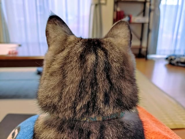 LukeFoster1gn's tweet photo. 残酷ですが…80kgママの9割知らないので言いますね。
朝に、卵、納豆、めかぶ、ご飯では痩せませんよ。 https://t.co/RUfExrhr9W