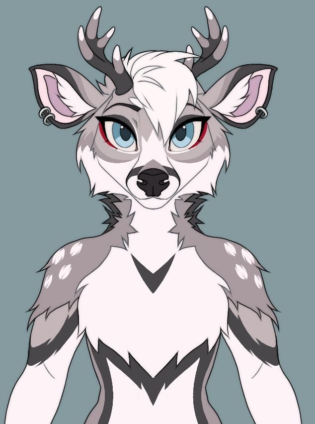 KaoruFox's tweet photo. My delicate little deer self, my existential crisis on four hooves...Farron my beloved. A reworked basic reference (god I'm so terrible at them) of my true sona, just in time for her to finally become a fursuit 🦌👀
#foxu | #furryart | #furryartist | #deersona https://t.co/HHtMElZty1