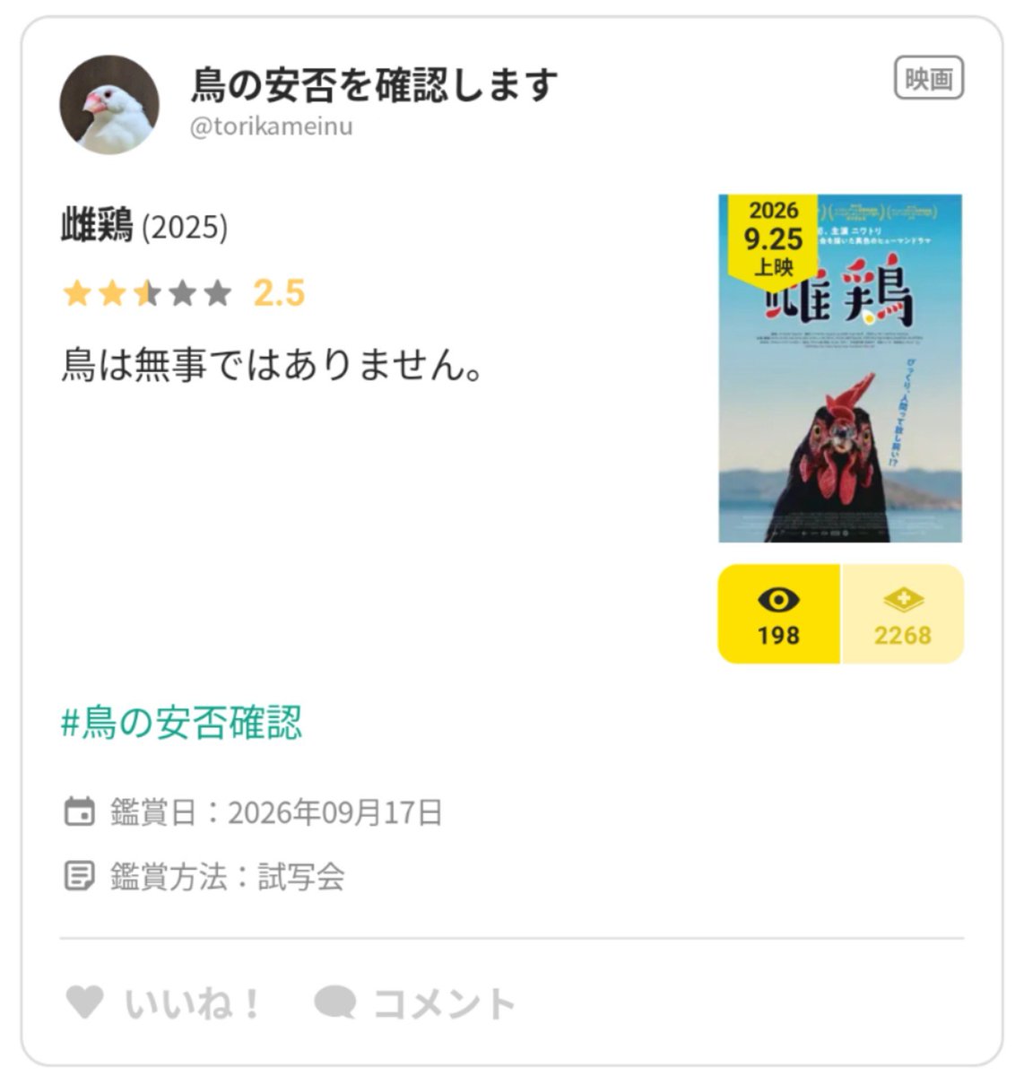 torikameinu's tweet photo. 映画 雌鶏 を見ました。
鳥は無事ではありません。
#鳥の安否確認 https://t.co/C8fHnf9xiu