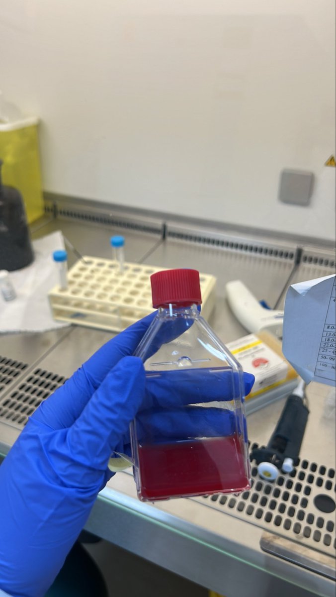 JoudMLS's tweet photo. Harvest test 🧬. https://t.co/jldwnoTRTU