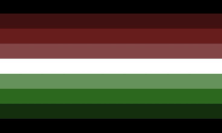 AdamRealMan's tweet photo. @radical_jam_ whys it the same colors as the necro flag https://t.co/tRuleH9rk9
