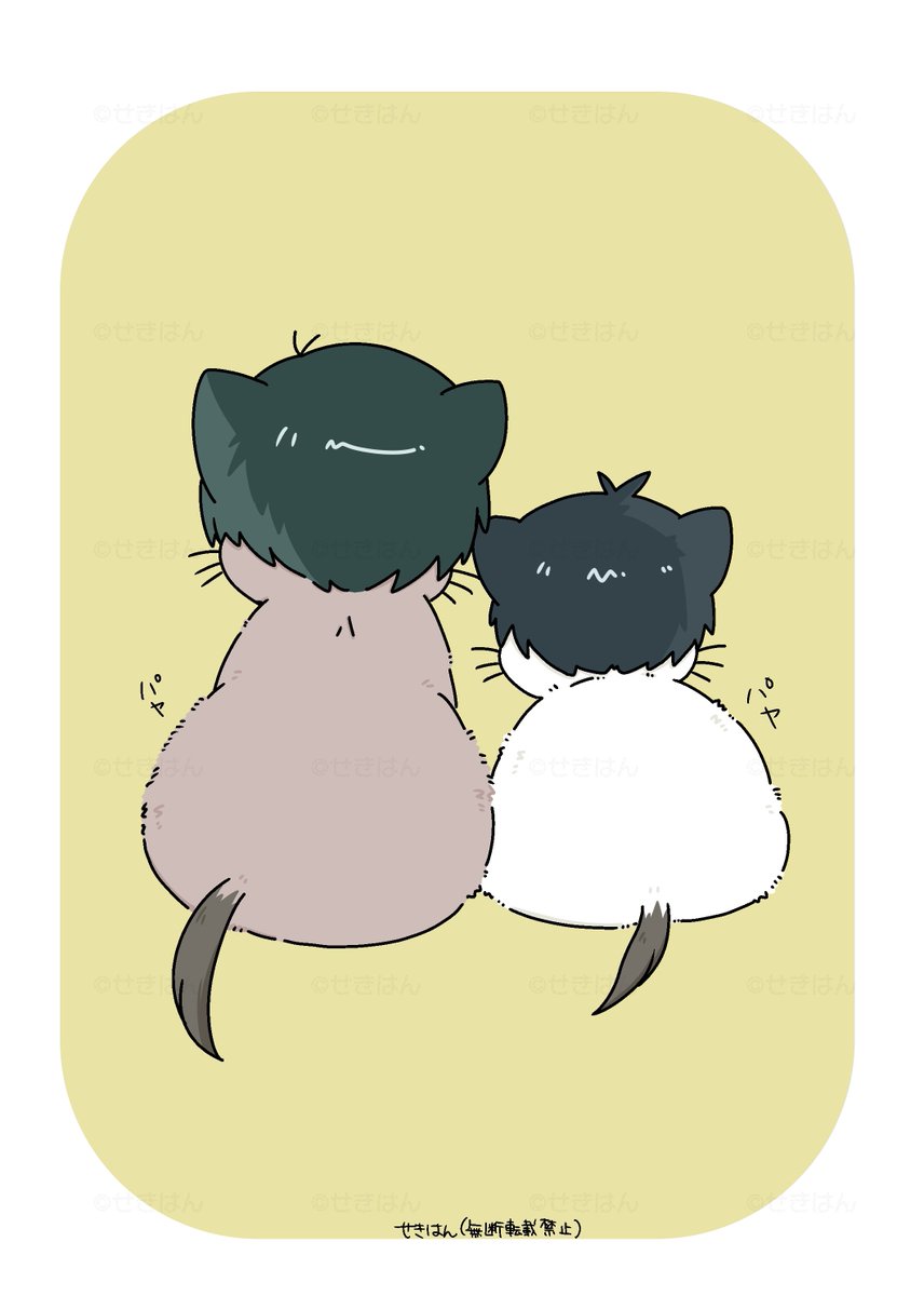 sbii41's tweet photo. パヤパヤ仔猫rnis
いつもありがとうございます🙏✨ https://t.co/EMgOolRWIL