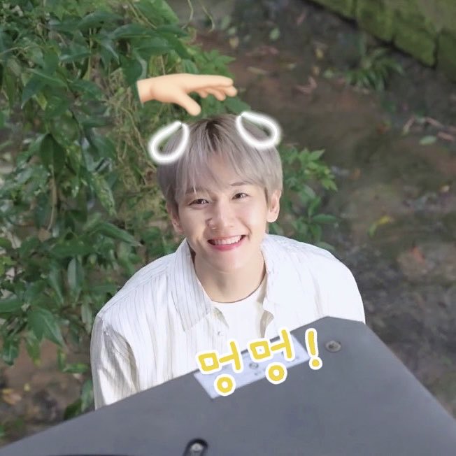 Ningyu_luv's tweet photo. 🫳🏻🫳🏻🫳🏻🐶
#백현 #BAEKHYUN #伯贤 https://t.co/jXnDFxAYRX