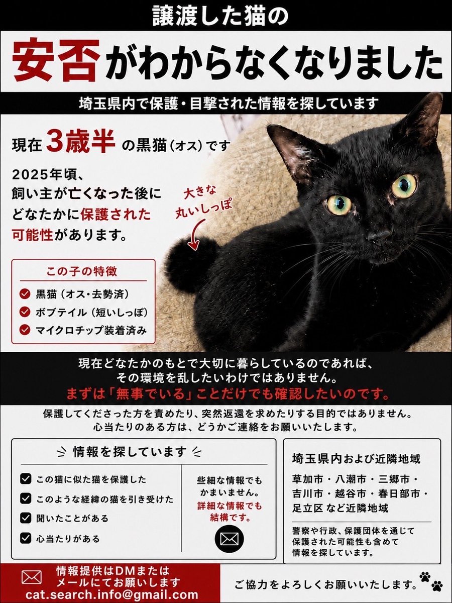 yono2's tweet photo. 知り合いボラさんが千葉市から草加まで通っています。

詳細は伏せますが、里親さん（飼い主さん）が亡くなった後に、この黒猫くんがどうなったのか、全く分かりません。

譲渡時は成人２人と未成年（小学生）のご家族。
他の連絡先も頂いていたそうで、猫が行方不明だと知りました。

#拡散希望 https://t.co/XSFV8igGC6