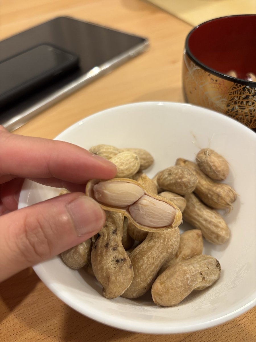 yokoym's tweet photo. 茹でた落花生を初めて食べだけどホクホクで美味しい
冷えたら冷えたでそれも美味しい
枝豆みたいだ… https://t.co/oWwrCR6Xa0