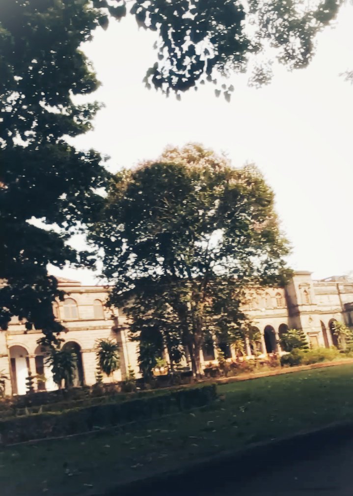 Aarshan121's tweet photo. Today while sitting in the garden of my university I wrote this poem just nature and my words 
Read the thread down ⬇️
Just What My Heart Sees

Beneath the calm shadow
of the ageing tree,
I found myself,
Tall and free.

Seeing the leaves wave
without any stress, https://t.co/Sq0bIAJInh