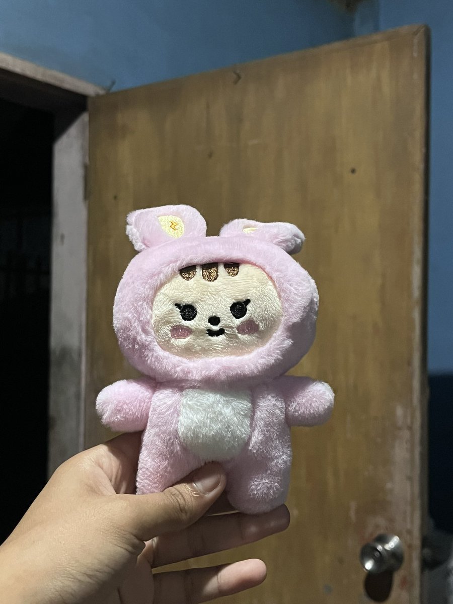 _luvjeonghan_'s tweet photo. Finally dumating na ang baby ko, ang magiging emotional support ko sa upcoming midterm ko 😩💗

Thank you so much po ulit @snwucartt #SNWUFeedbacks https://t.co/o42f9zHCP7