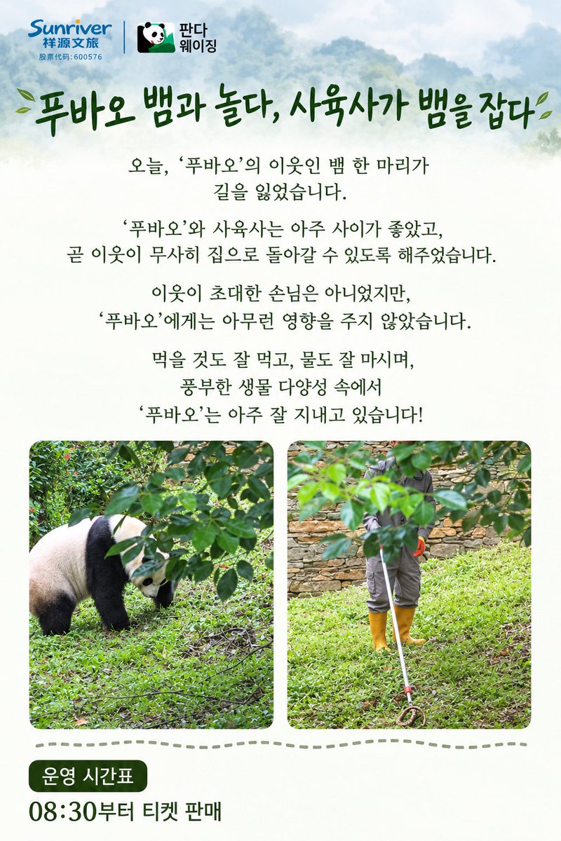 PUYS0720's tweet photo. 뱀이 나타났습니다.
그런데 제목은 ‘푸바오가 뱀과 놀다’네요.
뱀이 나온 것과 푸바오가 뱀과 놀았다는 건
전혀 다른 이야기 아닌가요?
정말 놀라운 포장입니다.

#FUBAO＃푸바오 https://t.co/DLZldoOrq1