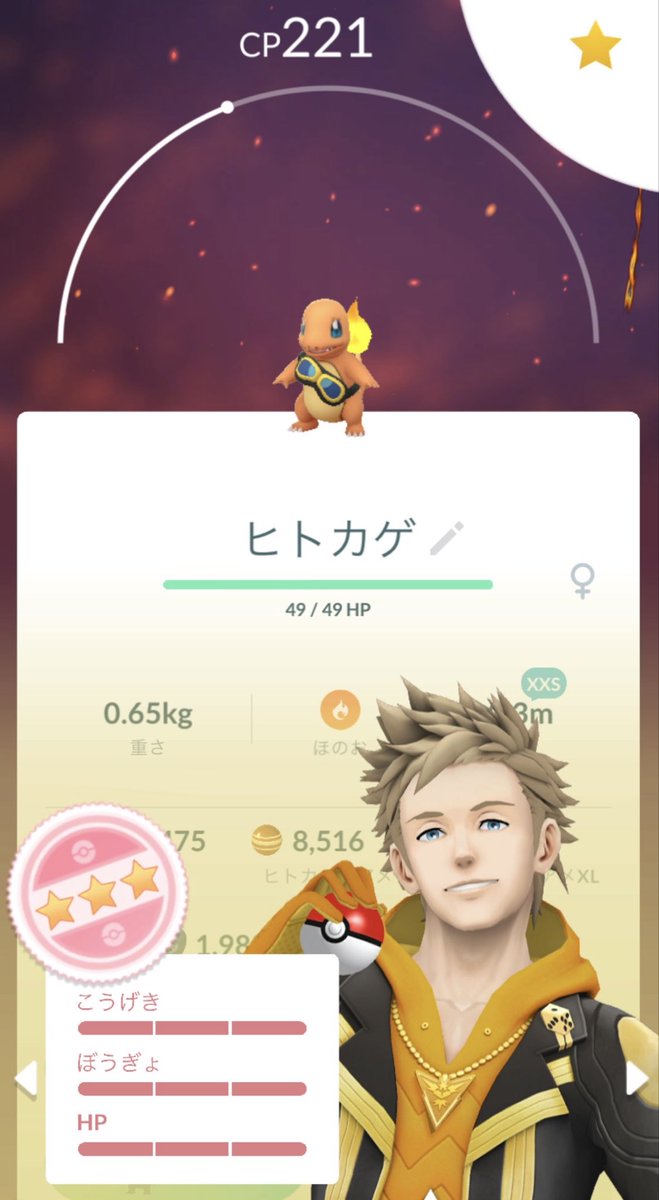 chihuahuamen's tweet photo. ちっこい💯
このまま育てよー(๑˃̵ᴗ˂̵)
#ポケモンGO #PokemonGO
#個体値100 #個体値MAX
#ヒトカゲ https://t.co/qVZW7dR0dH