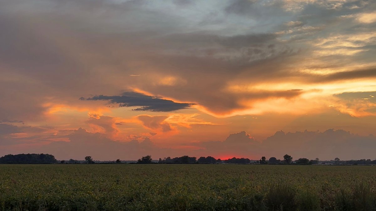 AginArk's tweet photo. Sunset brings a fiery light to soybean harvest in Crittenden County, Arkansas. 
Thanks to @AR_Extension's Katrina Wallace for the images!
#Harvest26 https://t.co/JfniINzfGX