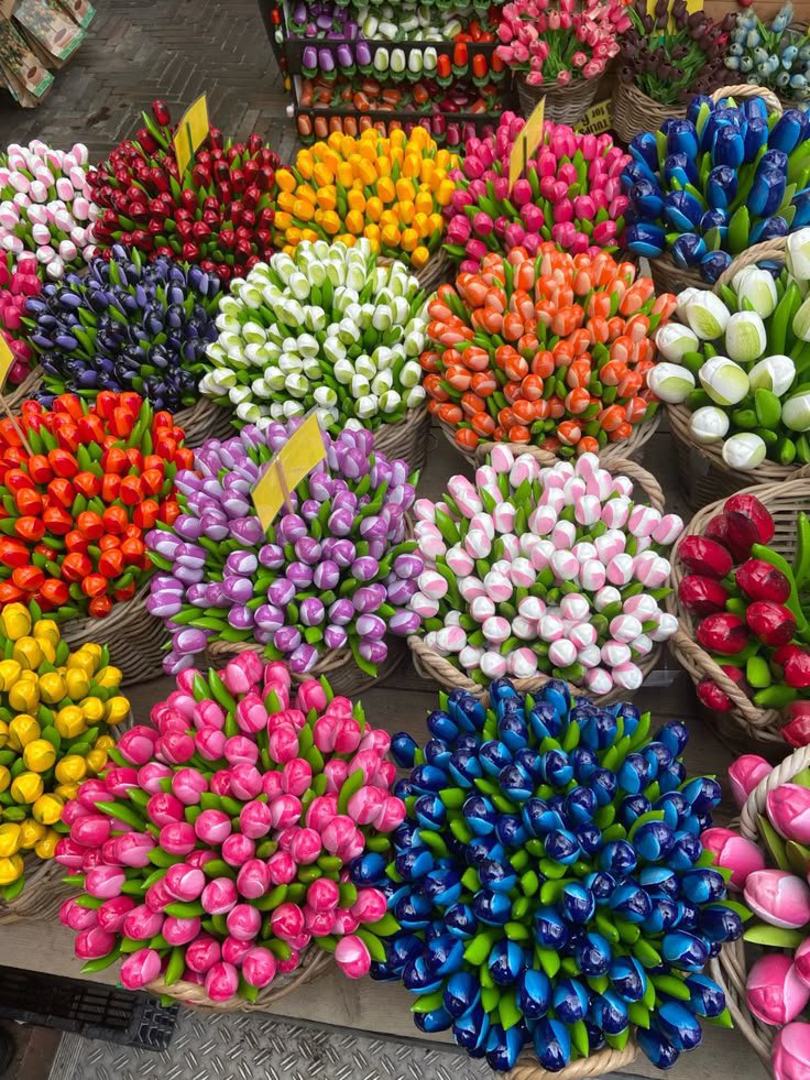 FLOWERS3700's tweet photo. https://t.co/6IZ4aIbZtY