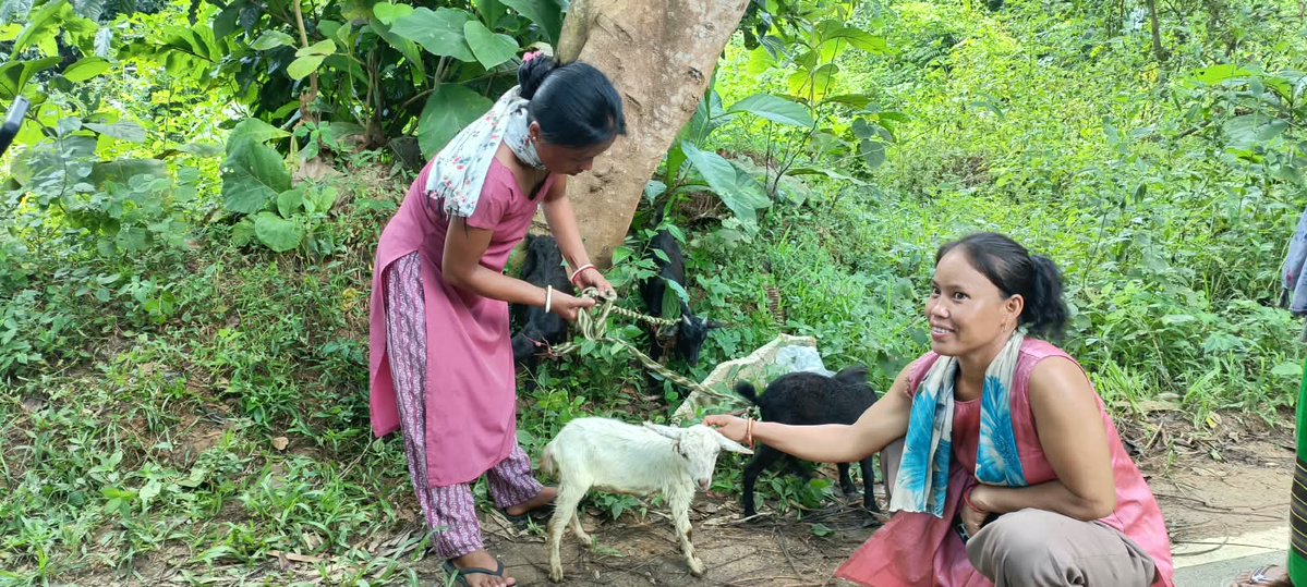 Sewa_Intl's tweet photo. From Learning to Livelihood. 

Under Project LIC HFL Sangam, Sewa International, with the support of @LIC_HFL  , is helping rural communities build stronger livelihoods through skill development and livestock management.

Women are being trained as Pashu Sakhis, equipping them with practical skills to care for livestock in their villages. As part of their learning, they also gained hands-on experience during a vaccination camp at the Sub-Divisional Veterinary Hospital, Chailengta, Longtharai Valley, Tripura.

When women gain skills, entire communities grow stronger.

#SewaInternational #LICHFL #ProjectSangam #PashuSakhi #Livelihood #RuralDevelopment