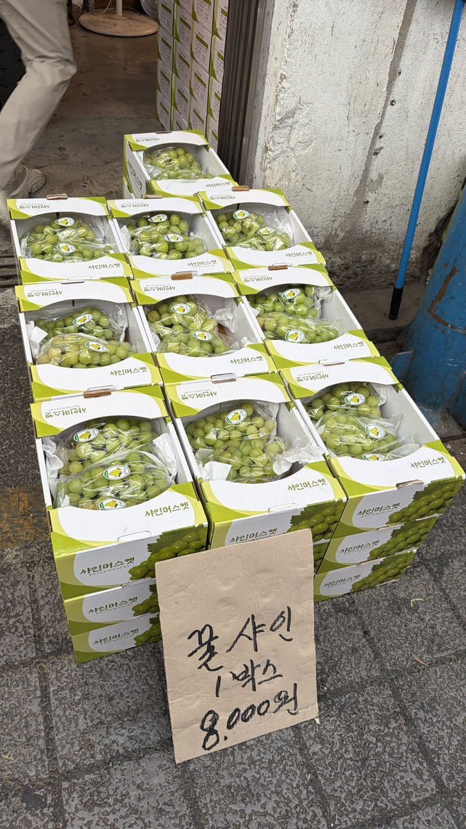 Mais_color's tweet photo. 望遠市場も清涼里市��もとにかくシャインマスカットが安かった…しかもとにかく大きいの！！！そして味はちゃんとおいしい。1房350円なんて信じられない… https://t.co/JVIgLB10KB