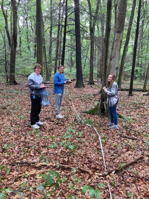 HopeBio's tweet photo. General Biology students braved the rain to collect data to understand forest succession at the Hope College Nature Preserve. https://t.co/fz14S64zQx