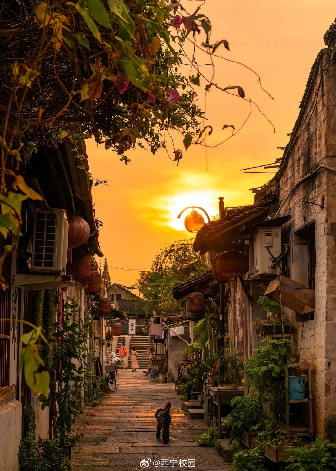 smili115265's tweet photo. Sunset glow painting the old street walls, a random alley find that hits different today https://t.co/hEpc9KKO6W