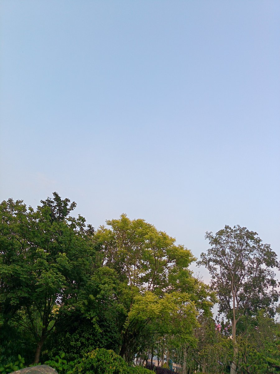 ShielaDisokn's tweet photo. Just finished a 10km morning run, sweat dripping down my face, and the cool breeze hitting my skin. For the first time in weeks, I feel my mind is clear and my heart is light—this small win really lifted my whole mood.， https://t.co/4HVgPEGzAp