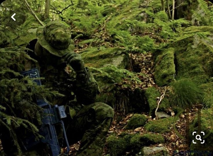 Military008's tweet photo. https://t.co/plqsTxFcKo