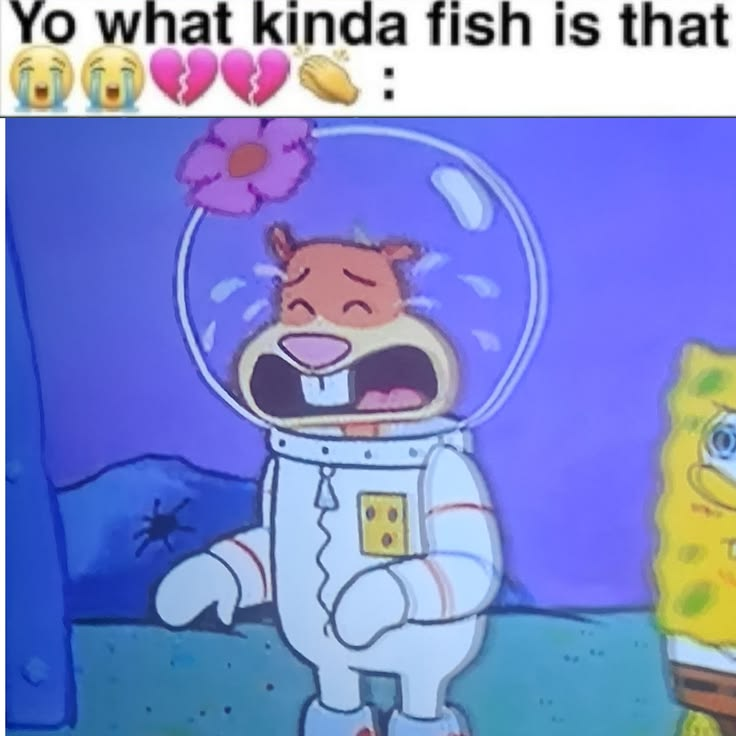 SpongeBobpng's tweet photo. https://t.co/8cnXVdn1L2