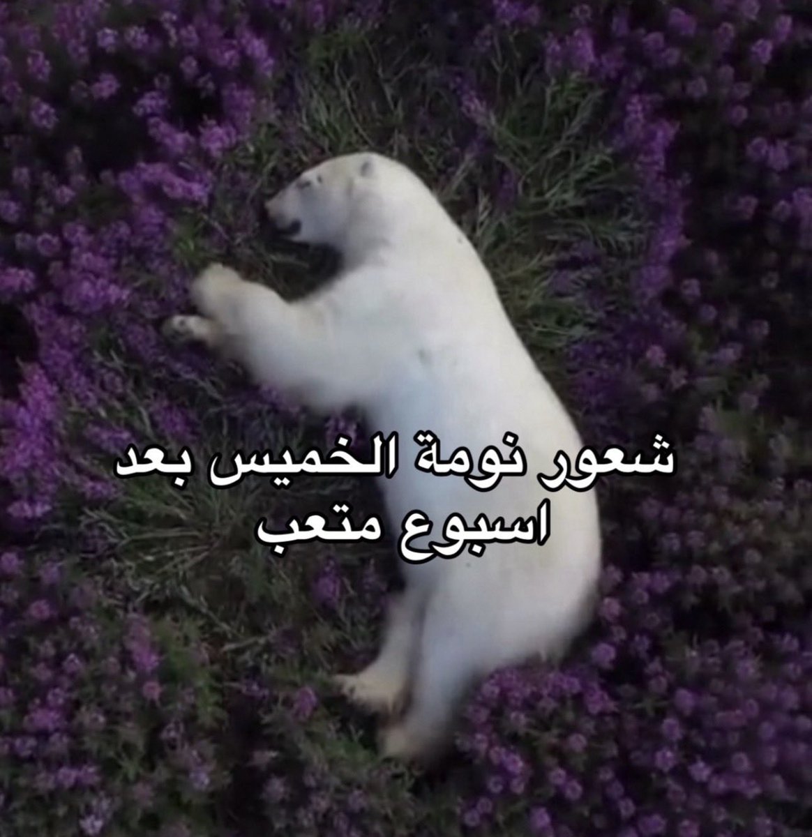 i14nn's tweet photo. الان https://t.co/roZizbrB3i