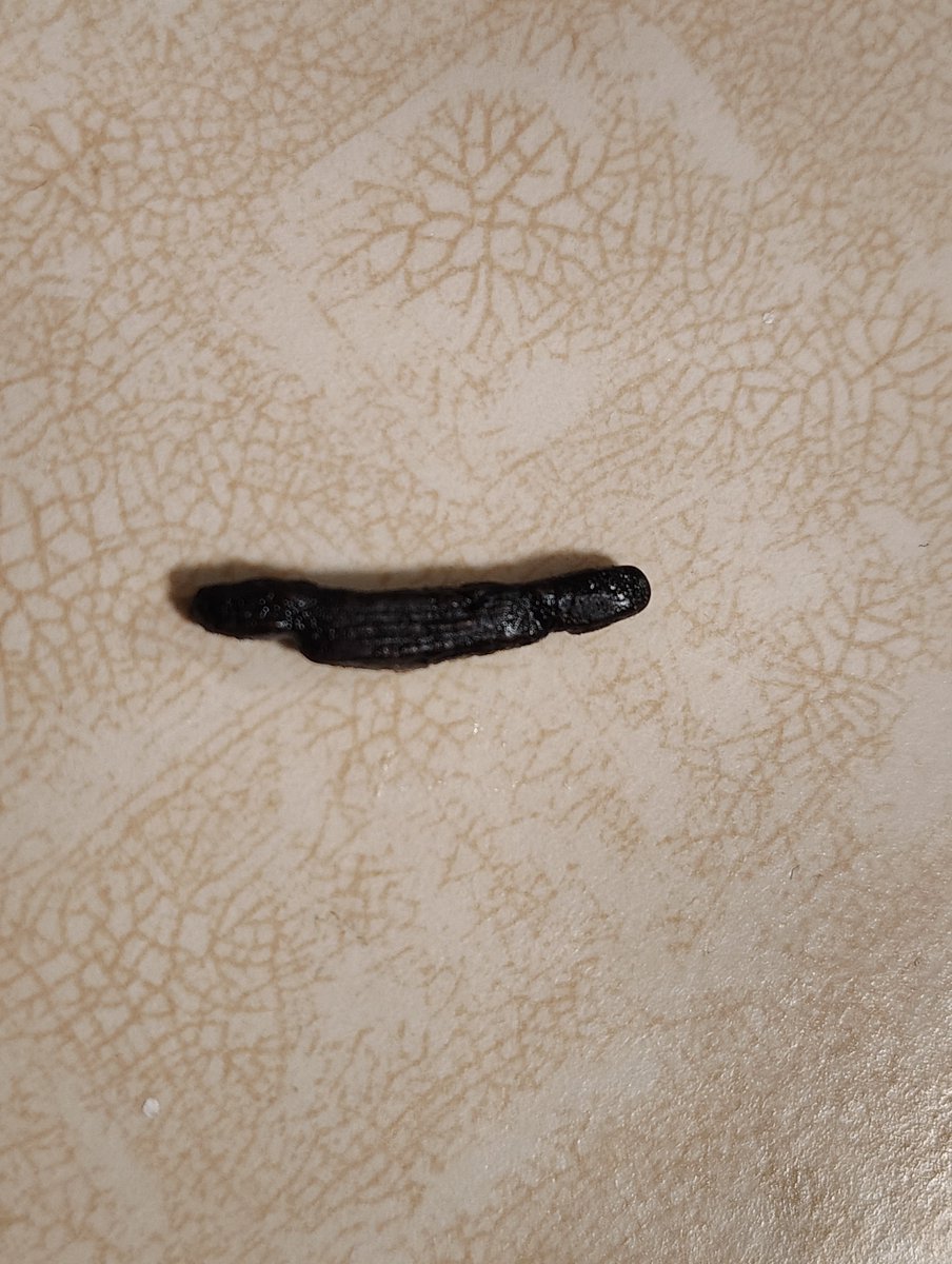 Grimedog2's tweet photo. @ConagraBrands how about addressing quality concerns like the rubber i found in my refried beans https://t.co/A6vNNhS3qd