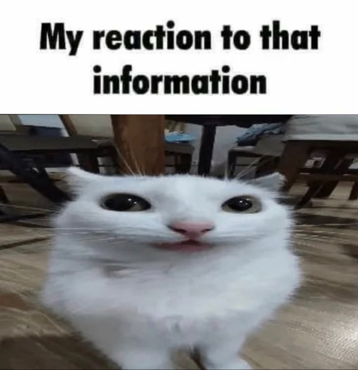 CatPosted's tweet photo. https://t.co/dL0ad5siEI