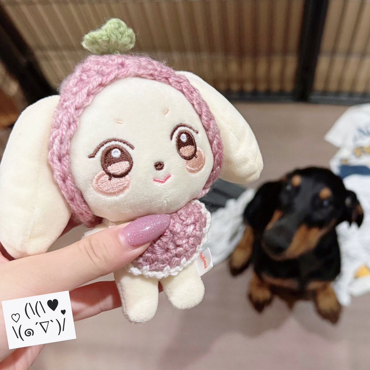 _yeo615's tweet photo. 爪伸ばしてたけど(全部自爪)2枚目の爪より少し短くして形も丸くしたらハトタ出来るよね？🥹
(𝑫𝑶𝑩𝑬𝑹𝑴𝑨𝑵を引き取って1ヶ月経ったよ..ㅎ) https://t.co/nWty6ImXP5
