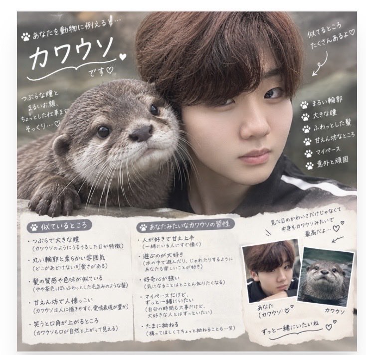 Haru_snowA's tweet photo. 流行ってるらしい
俺これらしい
イメージといっしょ？ https://t.co/aUpBr0mYaf