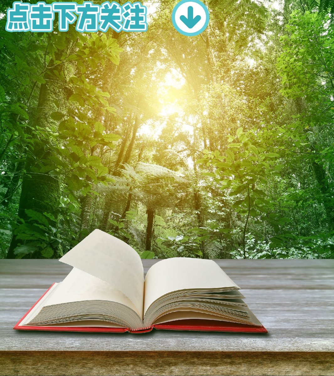 kait5540's tweet photo. Just finished this thought-provoking poetry collection! Every line feels like a gentle nudge to slow down and notice the little beautiful things around us. 10/10 would recommend to anyone who loves getting lost in words. https://t.co/4A7M3CRTxr