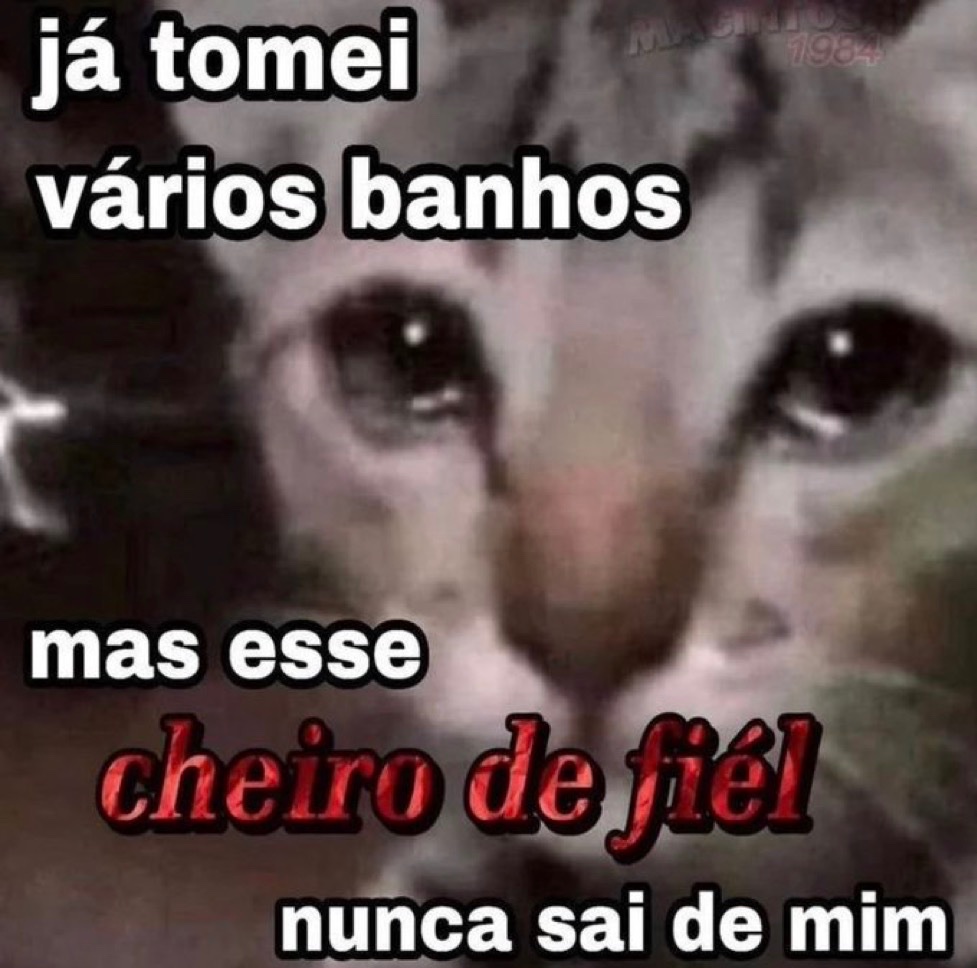 relacionemos's tweet photo. https://t.co/E77oGbi9FY