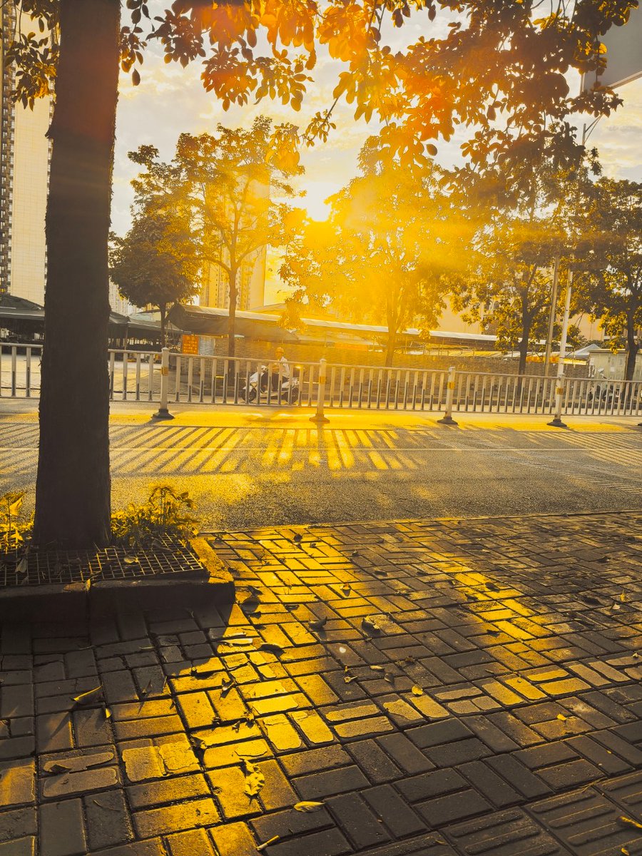 softq967185's tweet photo. Chased by golden hour light in the city, a random street corner turned out to be the best impromptu backdrop today. https://t.co/CEFGkRdzkS