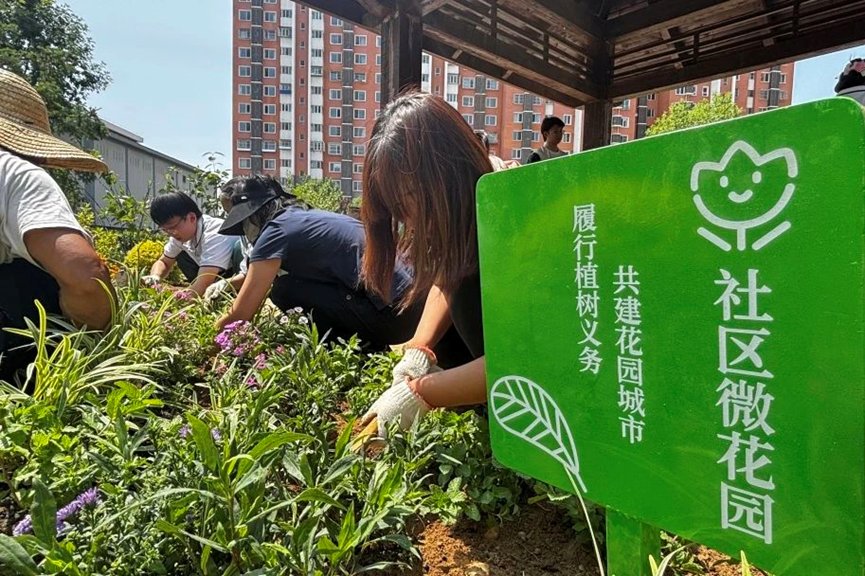 gimhyejin813947's tweet photo. Join our community garden day this Sat 9am-12pm! No experience needed—tools u0026 snacks provided. Let’s grow greens u0026 connections together!， https://t.co/tXeUNI1QSi