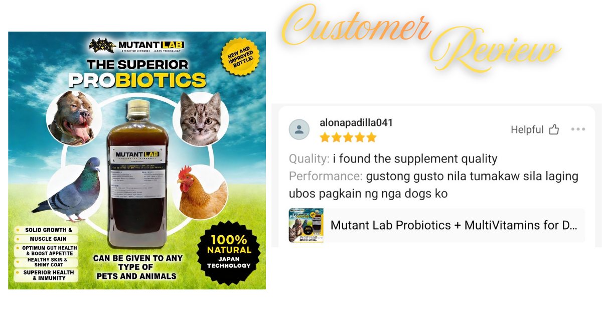 PatrickSouot0o's tweet photo. Another furparent review from Shopee and Lazada. Thank you so much—we’re forever grateful for your support. Get yours now on Shopee, Lazada, or TikTok. https://t.co/EtyVCenucq