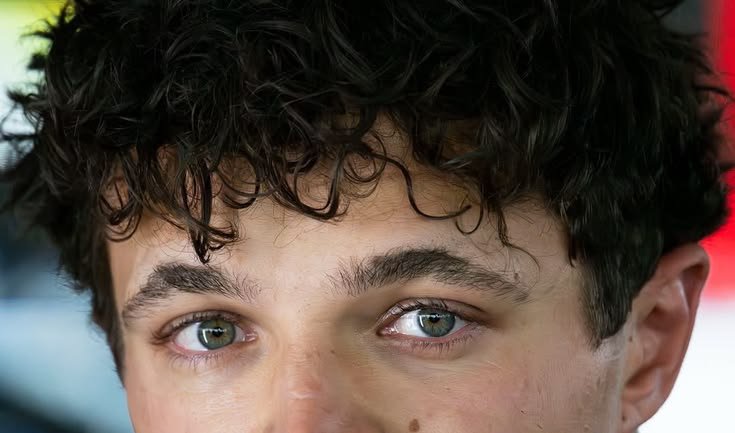 arvidsnoopy's tweet photo. I love his eyes so much https://t.co/YU1h9T99iN