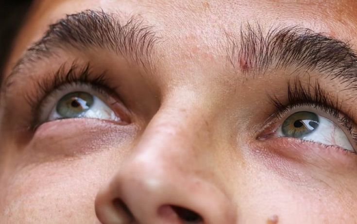 arvidsnoopy's tweet photo. I love his eyes so much https://t.co/YU1h9T99iN