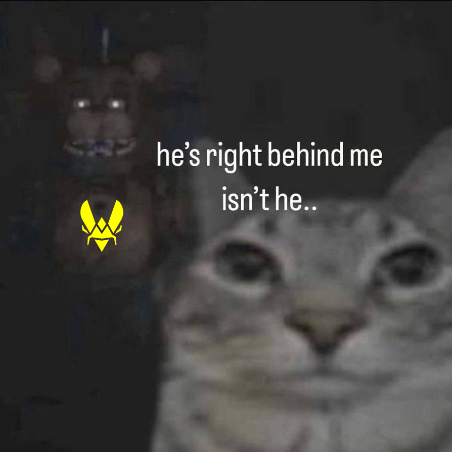 Wildcard_GG's tweet photo. theyre just taking their anger out on us https://t.co/akDai40kN0