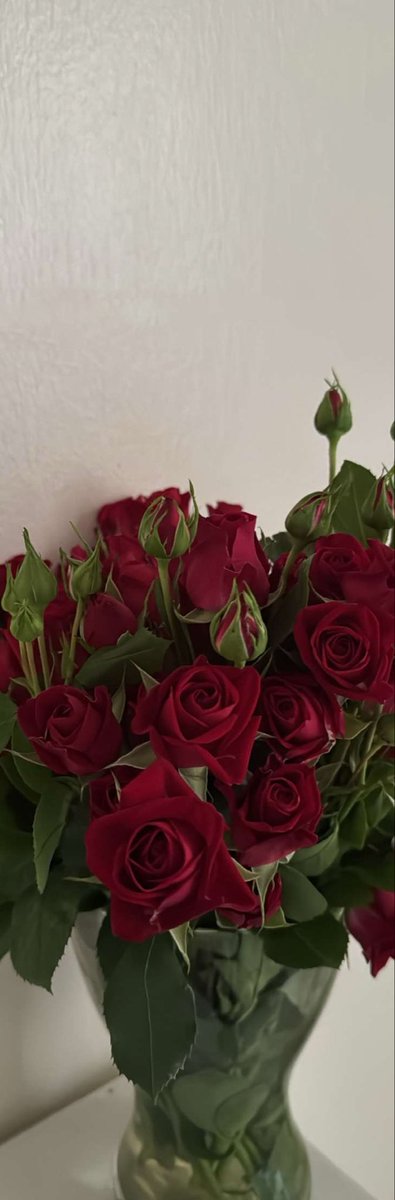 llovee_5's tweet photo. https://t.co/T4IWTjKHGY