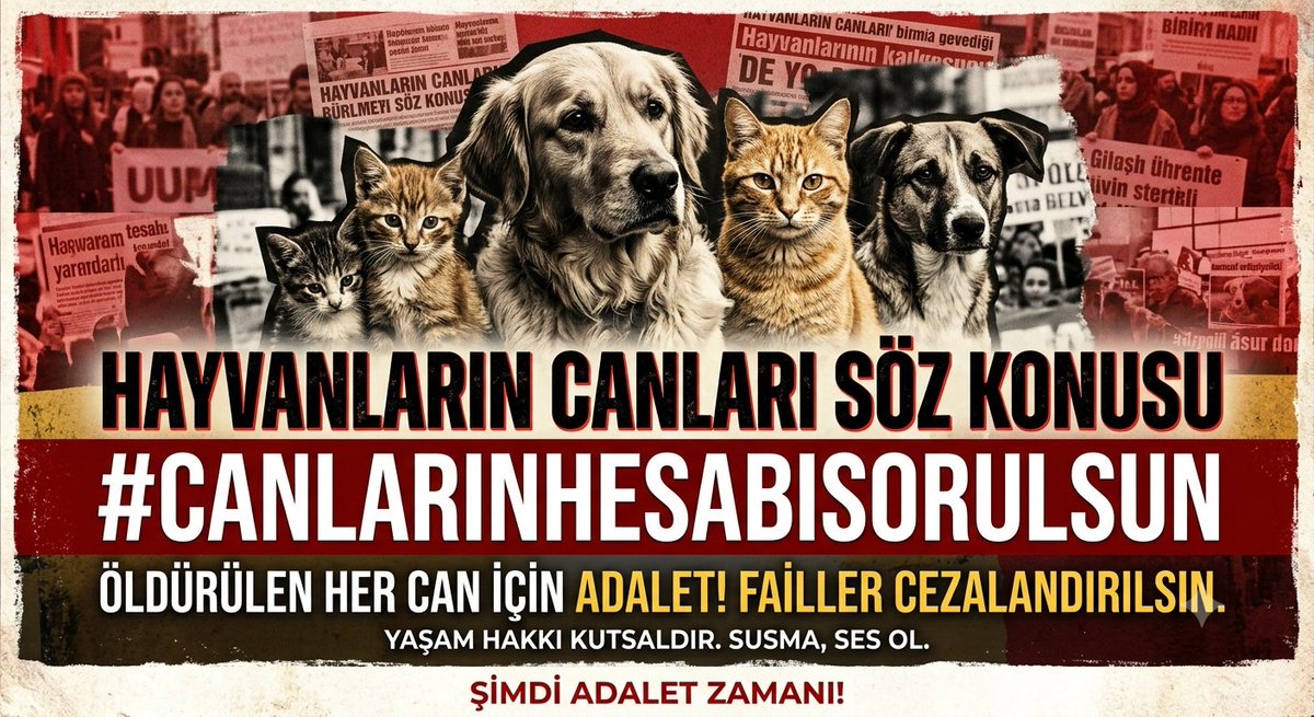 Keyfimin_Keyfi's tweet photo. Susmak,
suça ortak olmaktır!

Katledilen,
işkence gören tüm masum canlar için adalet istiyoruz.

#CanlarınHesabıSorulsun https://t.co/FzQZnGsIV2