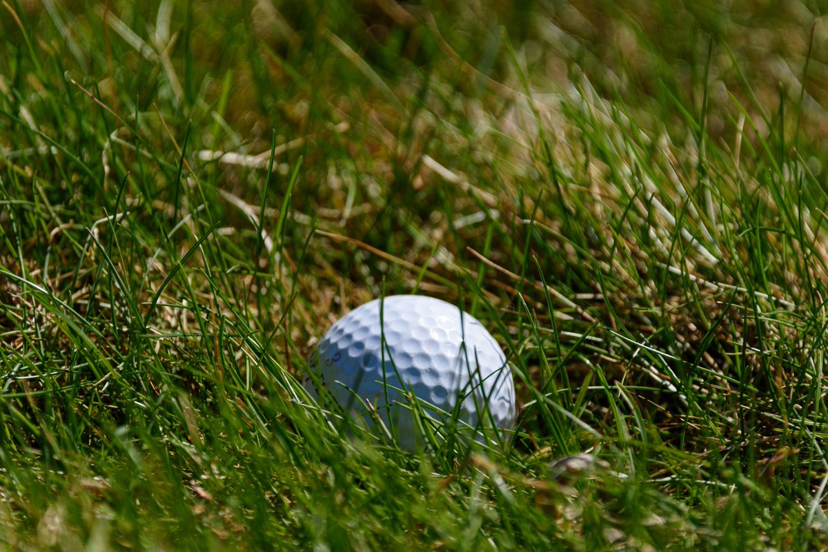 lunaaw2541x's tweet photo. I was at the oak course on a glowing day after coffee. With a student, we were easygoing. For extension, the swing felt balanced and deliberate. I felt recharged. #AfterWorkGolf #CourseTime https://t.co/RgLqDcgDuI