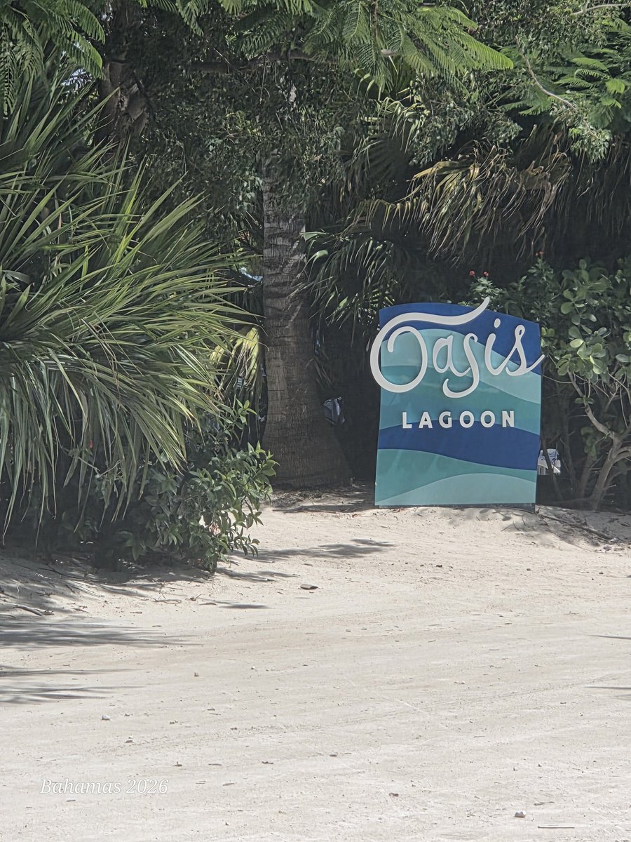 QueenJessBcuz's tweet photo. It's a beautiful day at CocoCay #Cococay #RoyalCarribean #Bahamas #Vacation https://t.co/ZD0uozozq9
