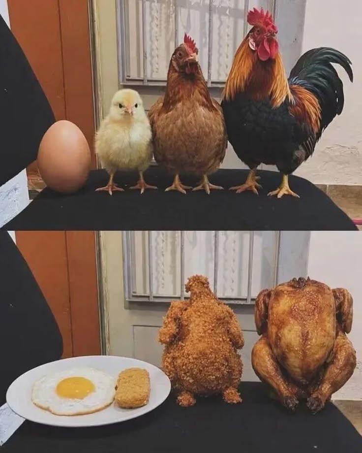 shtpostmemes's tweet photo. https://t.co/uXwZoUfqxc