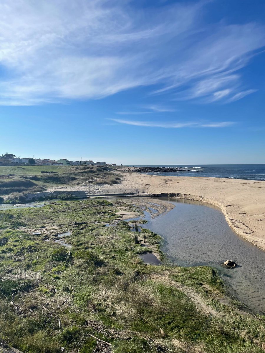 DelphaRuthbbqm's tweet photo. This carousel is a brief journey from north to south at the end of a cold, sunny December morning. None of these images is particularly original; these views are commonplace. But the day was so beautiful, the blues so vivid, and the sounds of water https://t.co/rx8uvnudTK