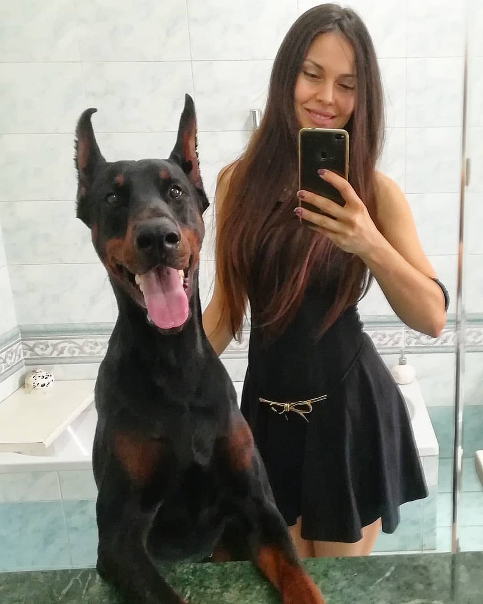 isabella__K9's tweet photo. Just Keep Smiling.🐶🐾🌹

 #doglovers #bestdogs #dobermannlove #lovemypuppy #loyalty #doglife #cutedog #bond
#woofwoof https://t.co/NZLrwKUUkE