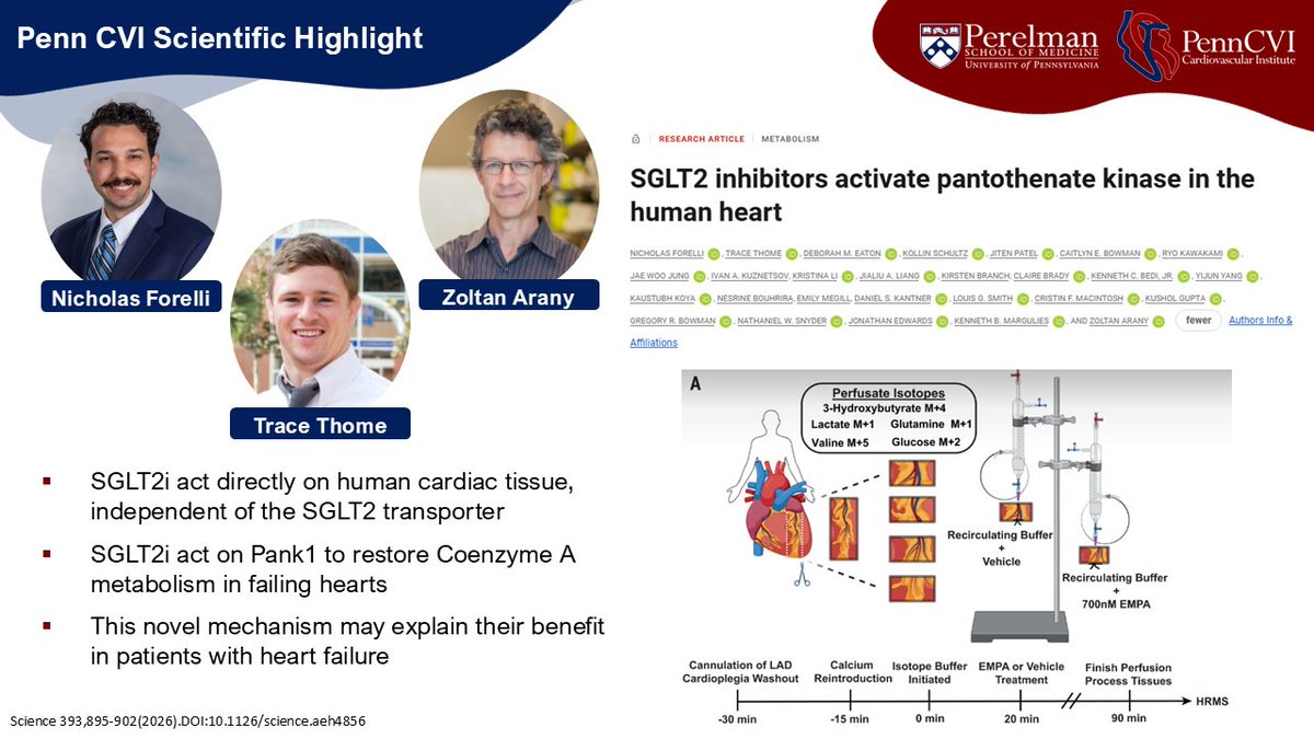 PennCVI's tweet photo. CVI's Highlighted #PapersoftheWeek!
https://t.co/S1Z5oDEeqY https://t.co/9qAgqaEs6F