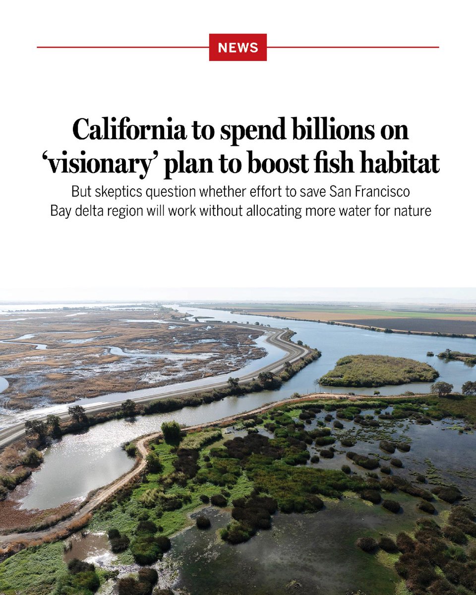 California to spend billions on ‘visionary’ plan to boost fish habitat
But skeptics question whether effort to save San Francisco Bay delta region will work without allocating more water for nature