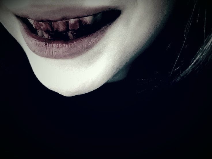 softcorecanibal's tweet photo. https://t.co/2MbidRPPrW