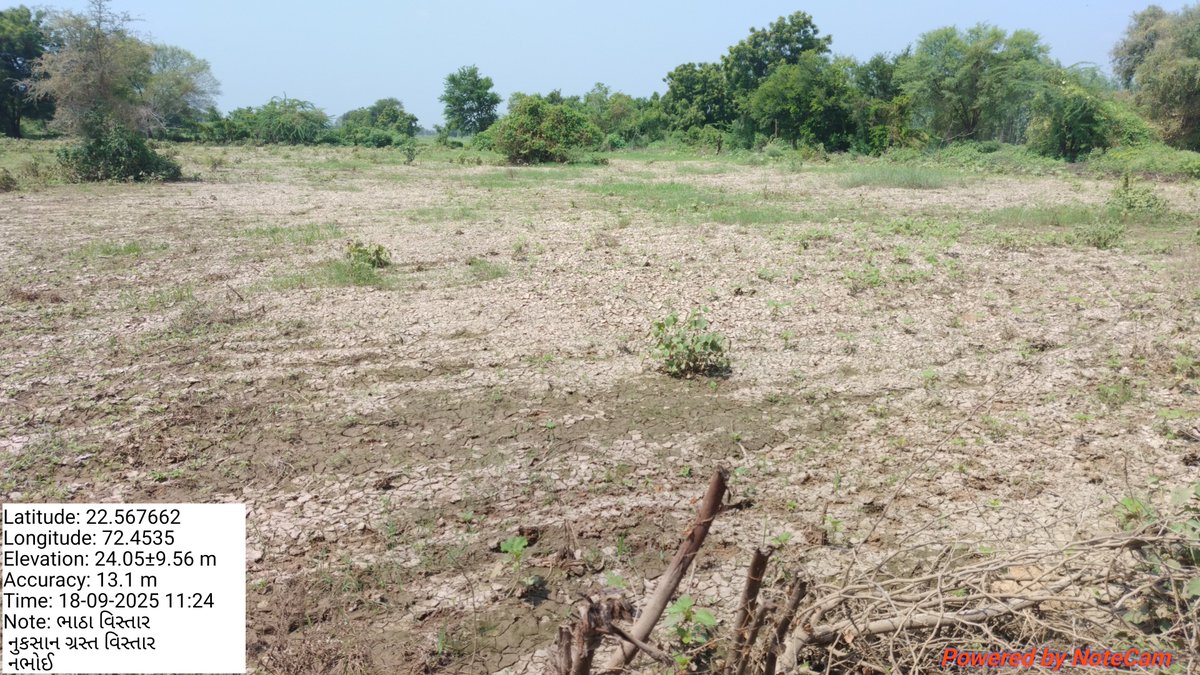 r_vanar's tweet photo. ખેતરમાં સ્થળ તપાસ કરતી વખતે જમીન પ��ની વાસ્તવિક સ્થિતિ સમજવી પડે છે. ગ્રામસેવકની field dutyને અનુરૂપ જરૂરી વ્યવસ્થા થવી જોઈએ.

#GramsevakNyayLadat @SandeshNews @GujaratFirst https://t.co/zY5c8EC7Xs