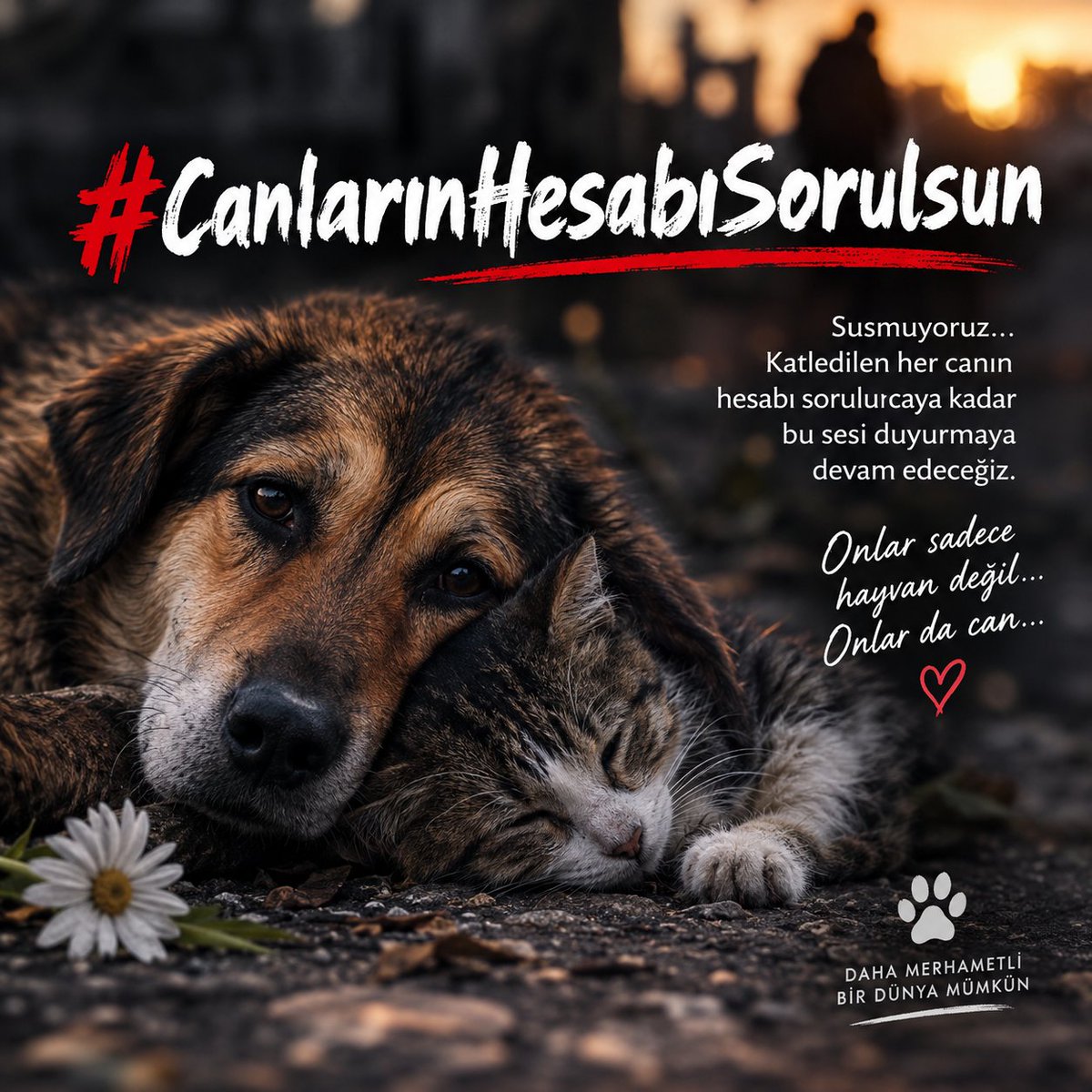 nah_ic_'s tweet photo. CANLARIN HESABI SORULSUN
CANLARIN HESABI SORULSUN
CANLARIN HESABI SORULSUN
CANLARIN HESABI SORULSUN
CANLARIN HESABI SORULSUN
CANLARIN HESABI SORULSUN
CANLARIN HESABI SORULSUN
CANLARIN HESABI SORULSUN
CANLARIN HESABI SORULSUN
CANLARIN HESABI SORULSUN
#CanlarınHesabıSorulsun https://t.co/aDIdEuzNHB