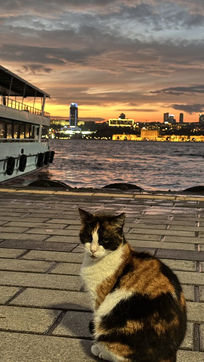 ilgen_ebru's tweet photo. İstanbul.. https://t.co/ovZvjTnQvs